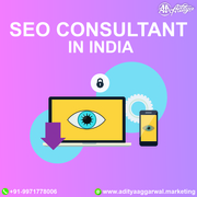 Find one of the best seo consultant in india