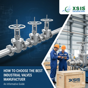 XSIS Valves - Top Valve Manufacturer and Supplier in Ahmedabad, India