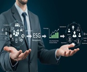 Get ZED Bronze,  Silver & Gold Certification Free